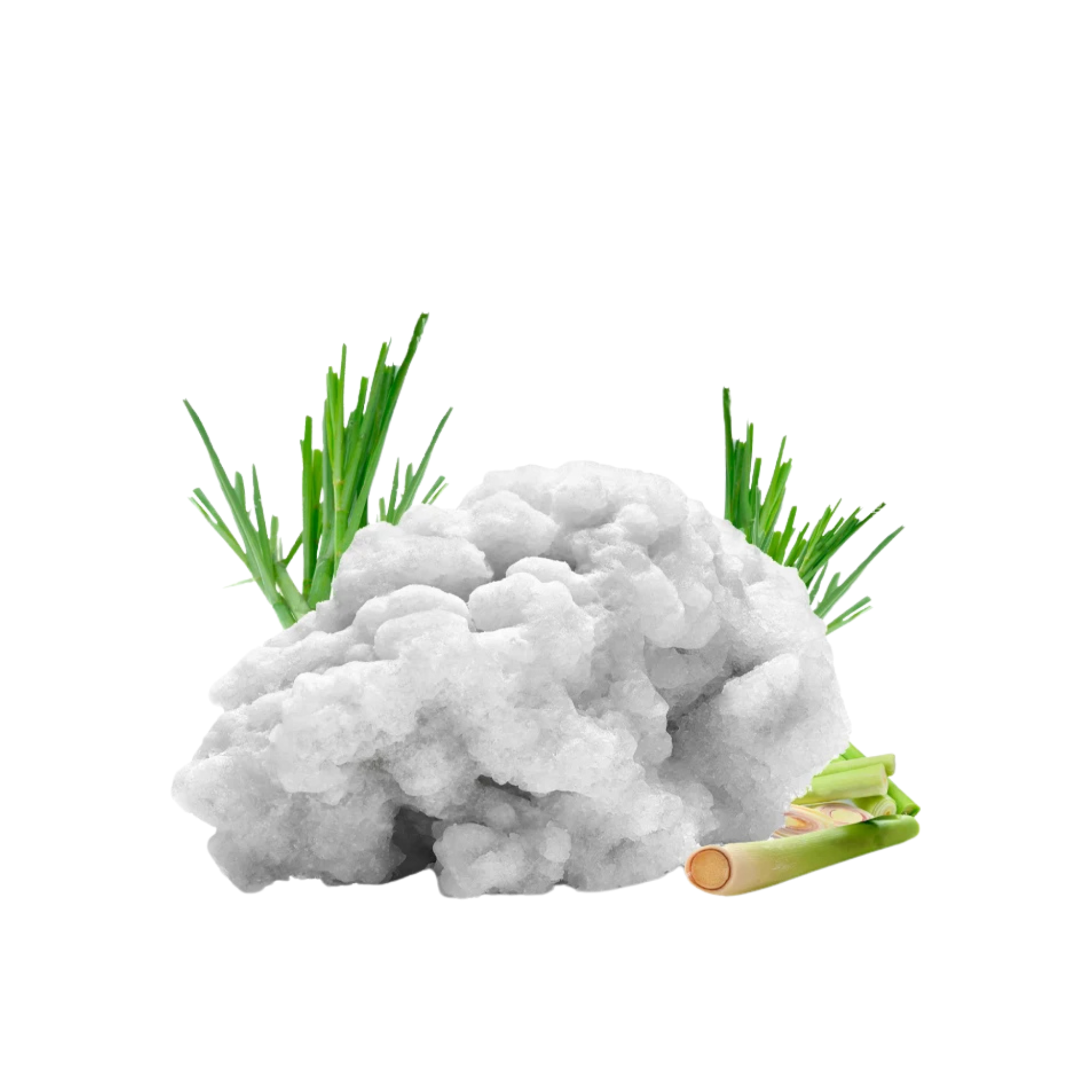 Sels de bain naturel de la mer Morte avec Citronelle