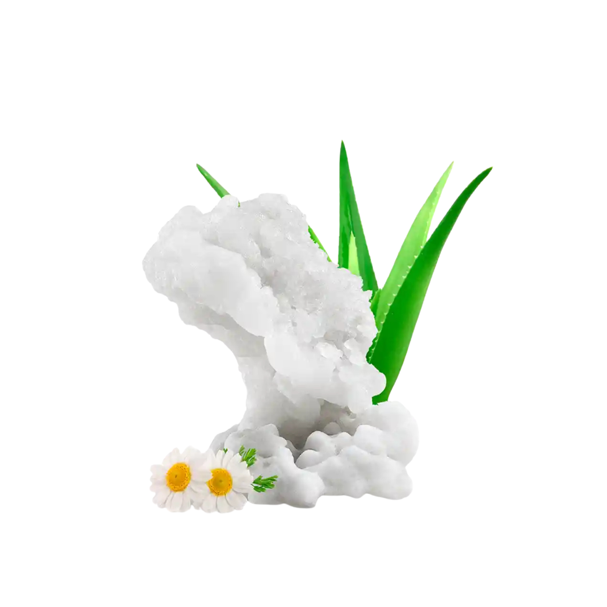 Sels de bain naturel de la mer Morte avec Aloe Vera et Camomille